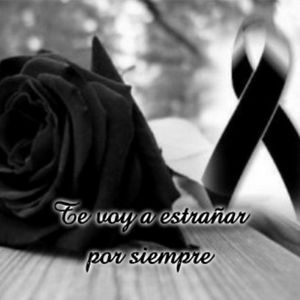 Meet your Posher, Marlon